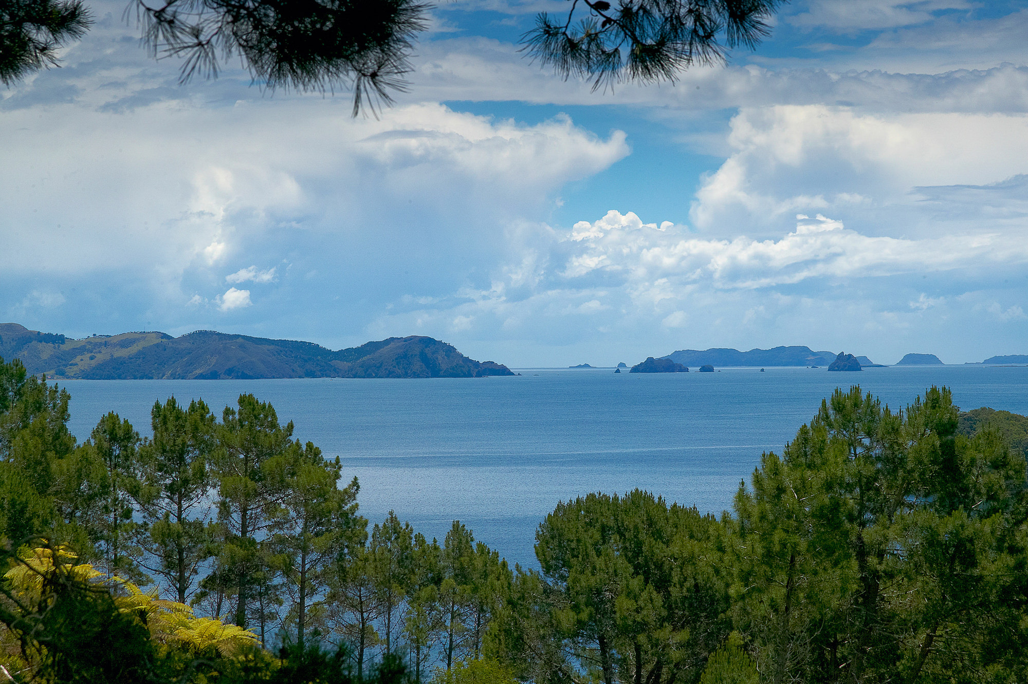 Coromandel Halbinsel